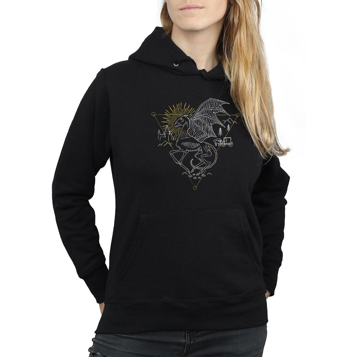 Harry Potter  Sweat à capuche 