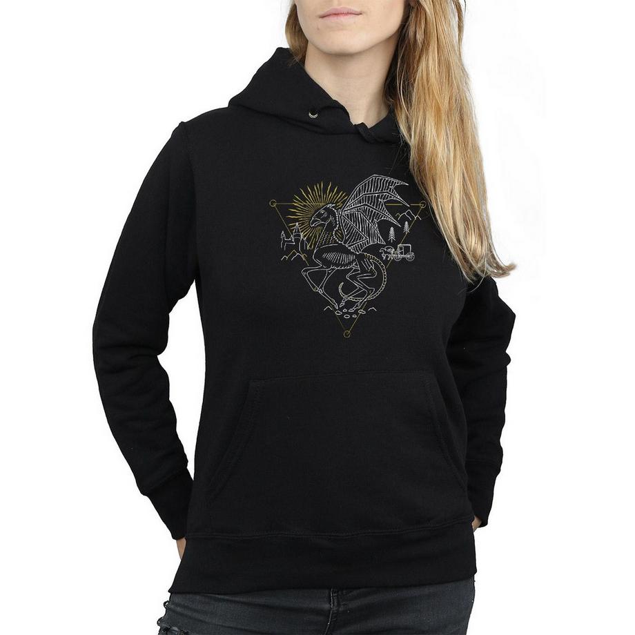 Harry Potter Felpa con cappuccio Drago  