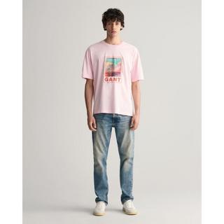 GANT Washed Graphic T-Shirt  