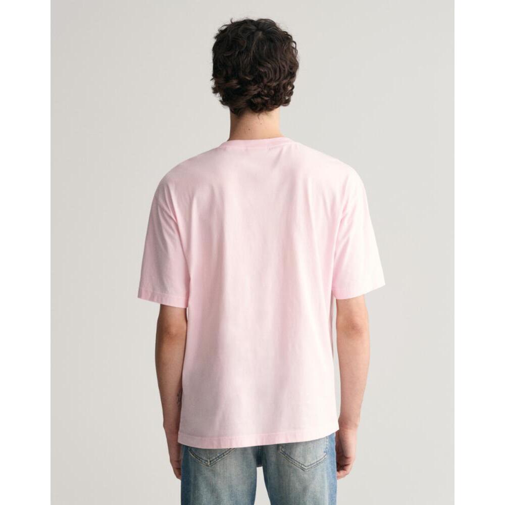 GANT Washed Graphic T-Shirt  