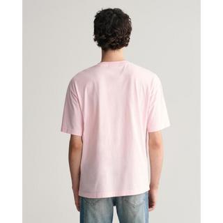GANT Washed Graphic T-Shirt  