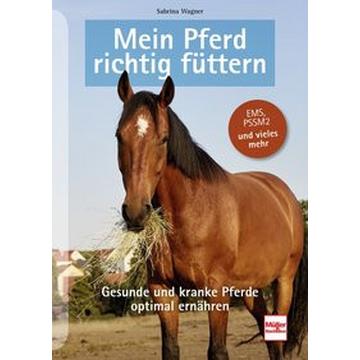 Mein Pferd richtig füttern