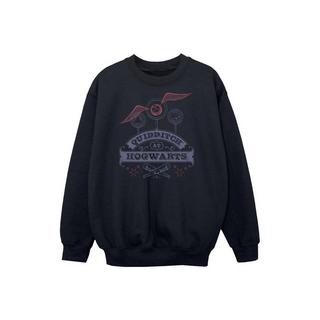 Harry Potter  Quidditch At Hogwarts Sweatshirt 