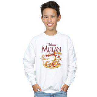 Disney  Dragon Fire Sweatshirt 