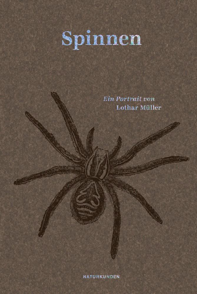 Spinnen Müller, Lothar; Schalansky, Judith (Hrsg.); Nordmann, Falk (Illustrationen) Gebundene Ausgabe 