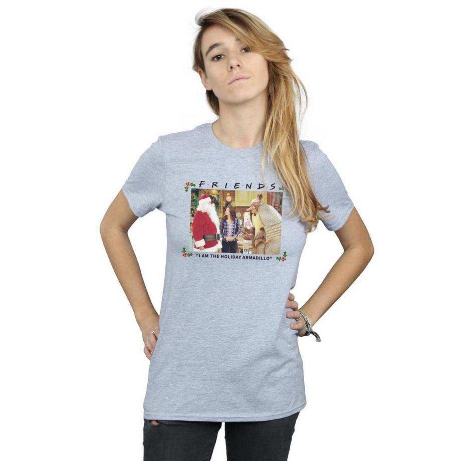 Friends The Holiday Armadillo T-Shirt  