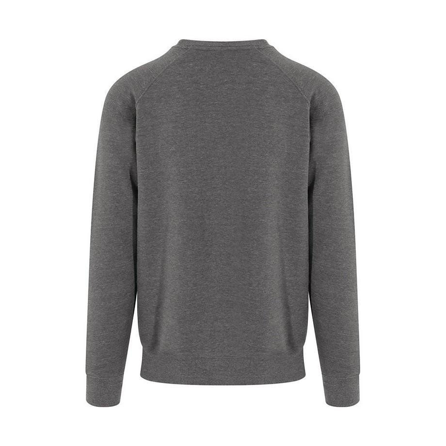 AWDis Graduate Pull-over  
