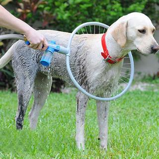 eStore  Lavaggio per animali domestici per tubo da giardino 