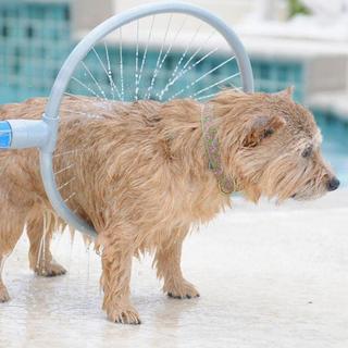 eStore  Lavaggio per animali domestici per tubo da giardino 