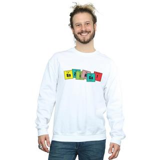 The Big Bang Theory  Sweat BAZINGA 