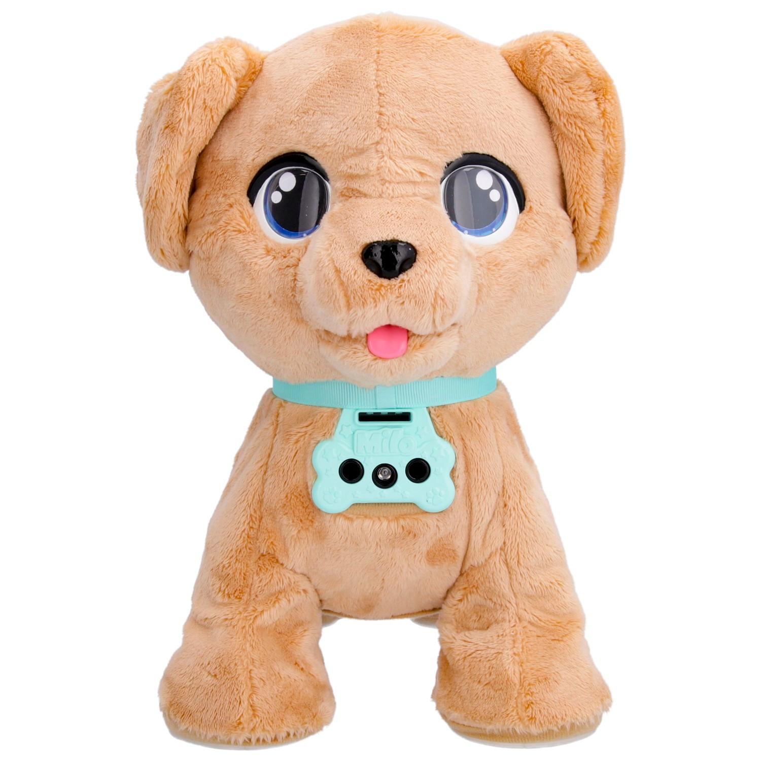 Club Petz  Club Petz Milo 