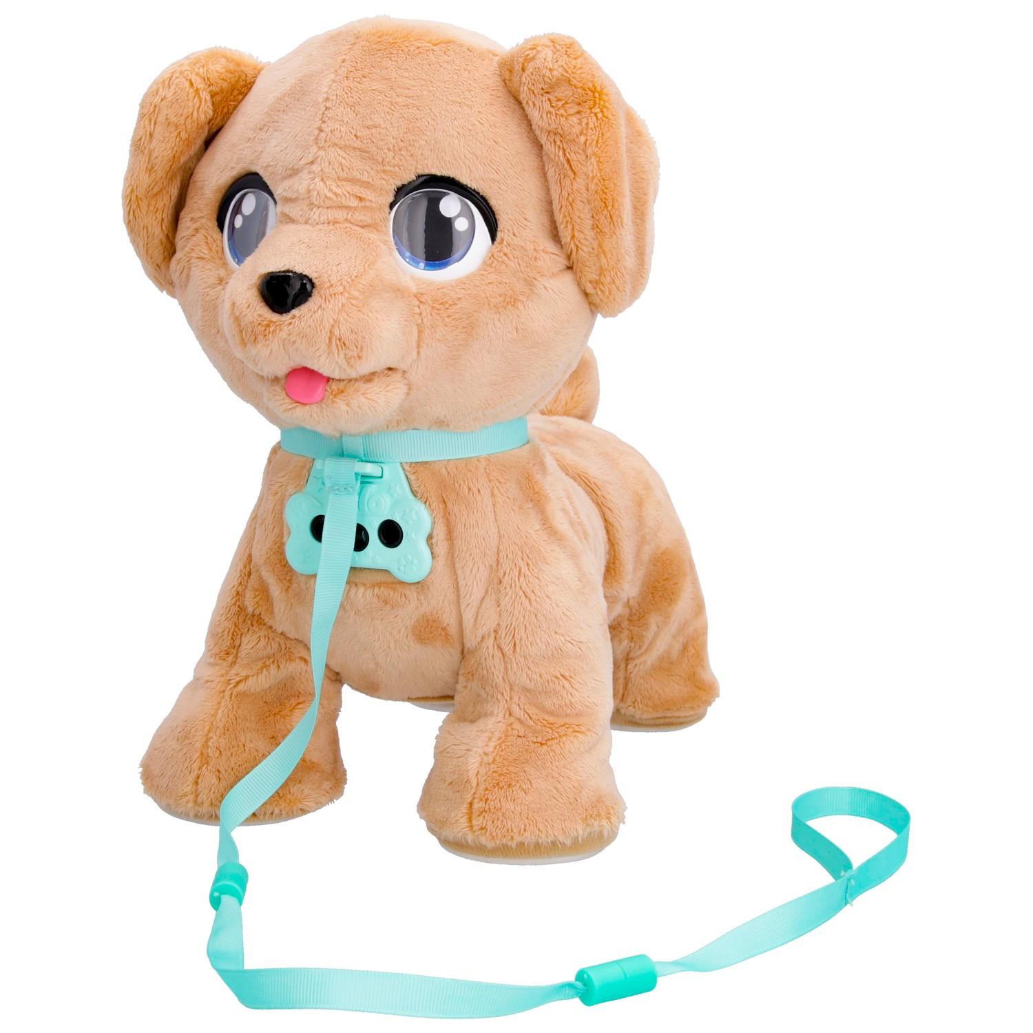 Club Petz  Club Petz Milo 