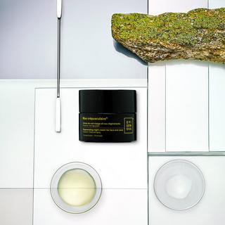 Epigeneva  Regenerierende Nachtcreme Gesicht und HalsSchützender Globales Anti-Aging - Mue crépusculaire® 