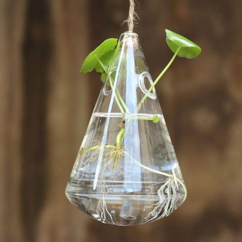Northio Vase en verre suspendu pour boutures  