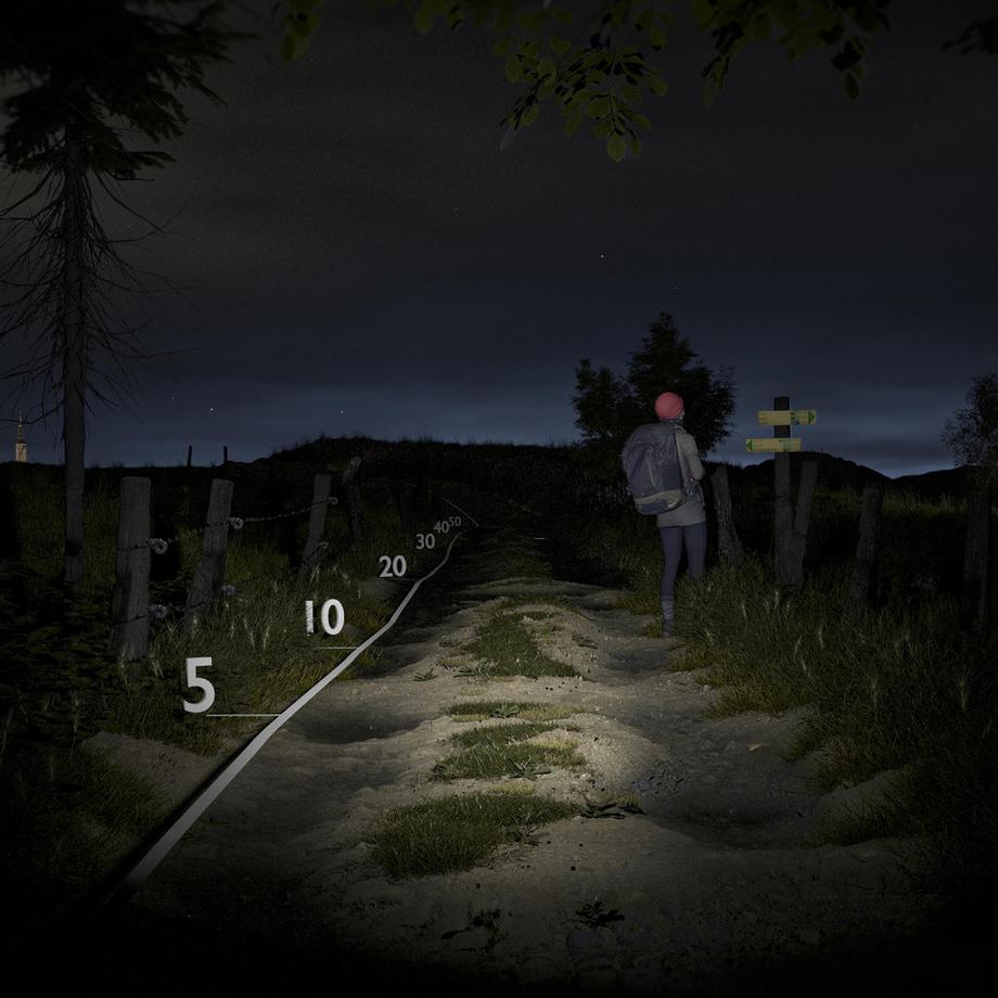 FORCLAZ  Lampe de poche à piles 100 Lumens 