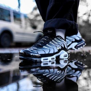 NIKE  Air Max Plus - Smoke Fade 