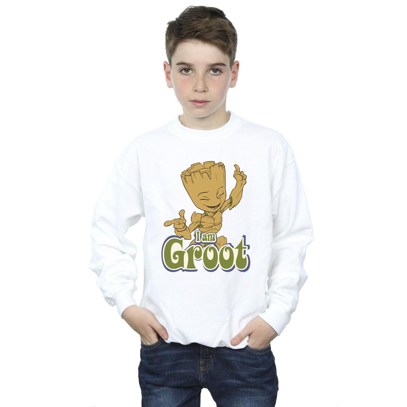 Guardians Of The Galaxy  Sweatshirt 