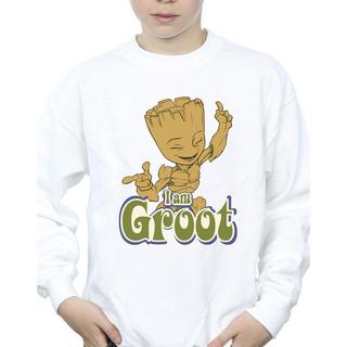 Guardians Of The Galaxy  Sweatshirt 