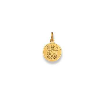 Pendentif signe du zodiaque verseau or jaune 750, 19x12mm