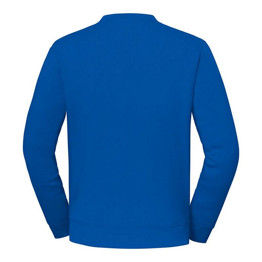Fruit of the Loom  Sweat ICONIC PREMIUM 