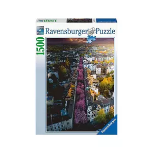 Puzzle Blühendes Bonn, Deutschland (1500Teile)