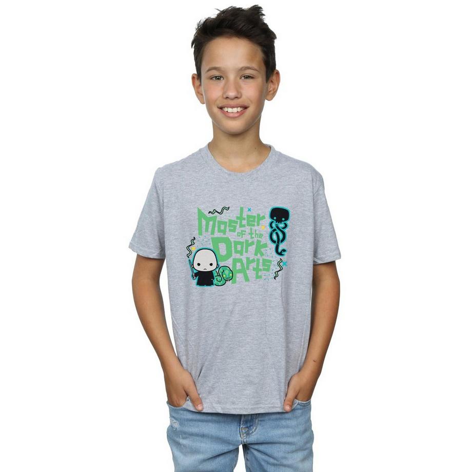 Harry Potter  Voldemort Dark Arts Junior TShirt 