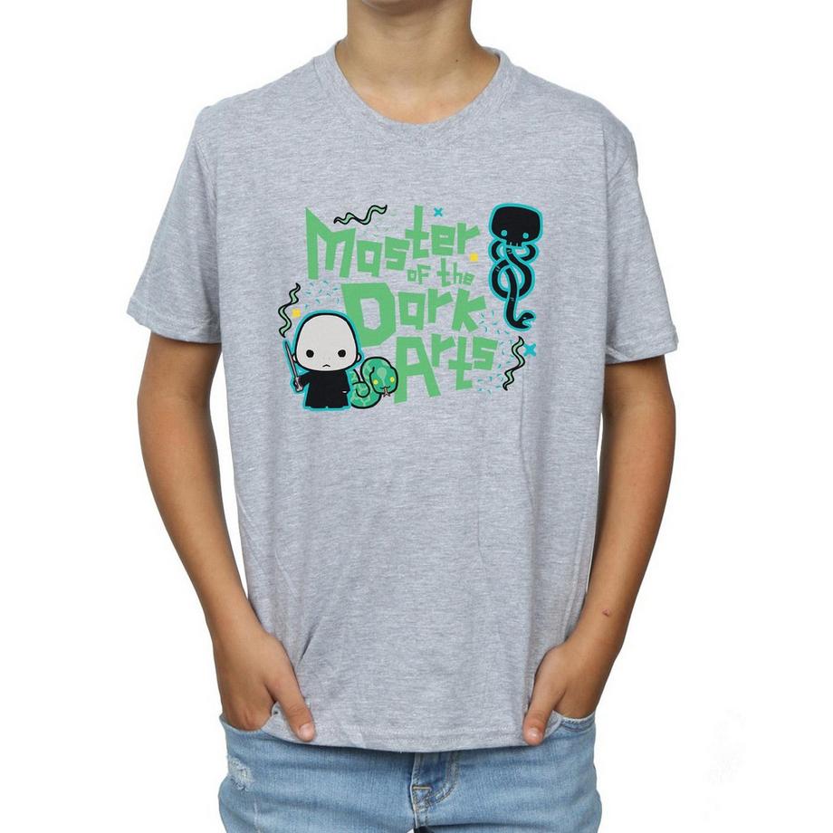 Harry Potter  Voldemort Dark Arts Junior TShirt 