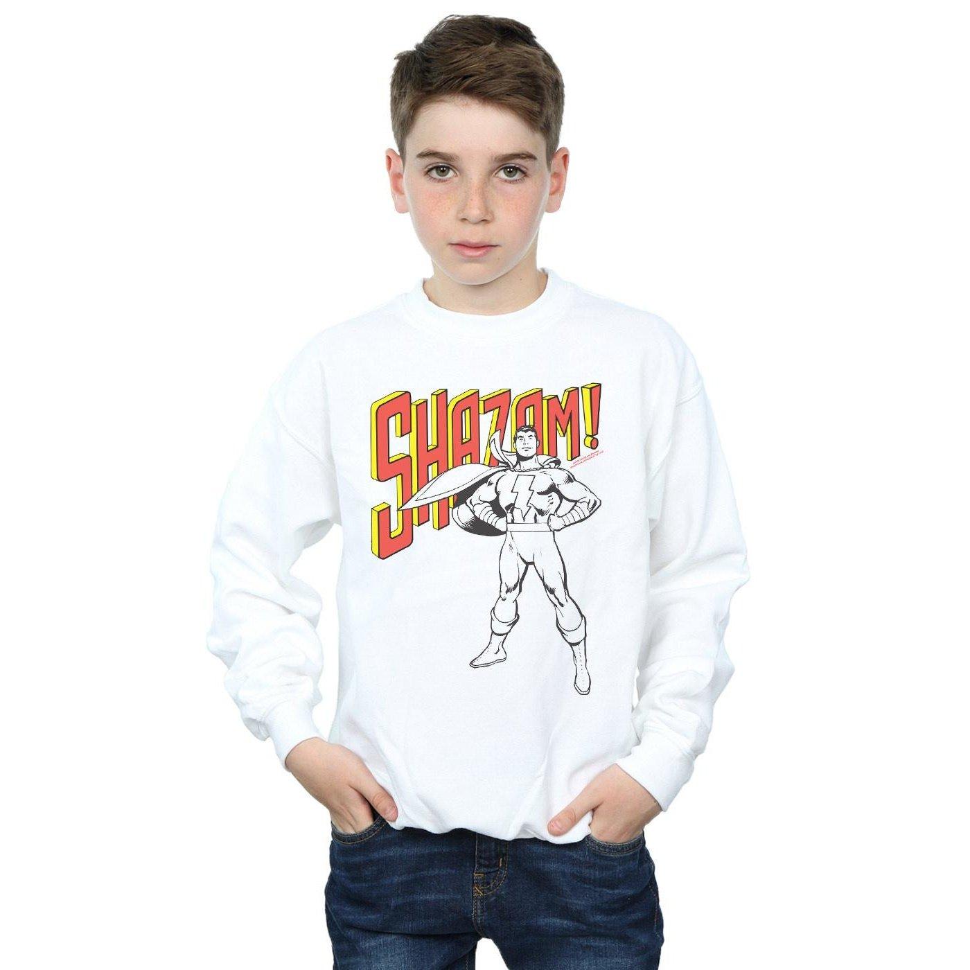 DC COMICS  Sweatshirt 