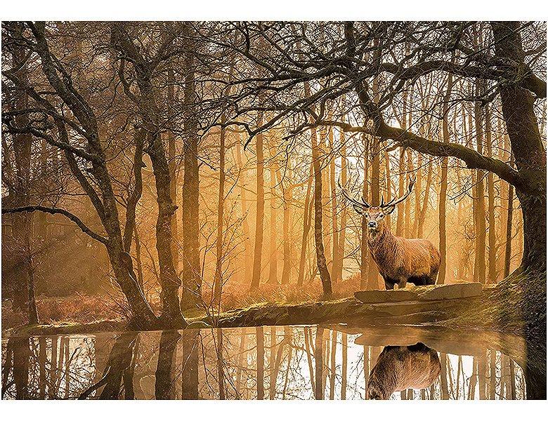 Clementoni  Puzzle The Forest (500Teile) 