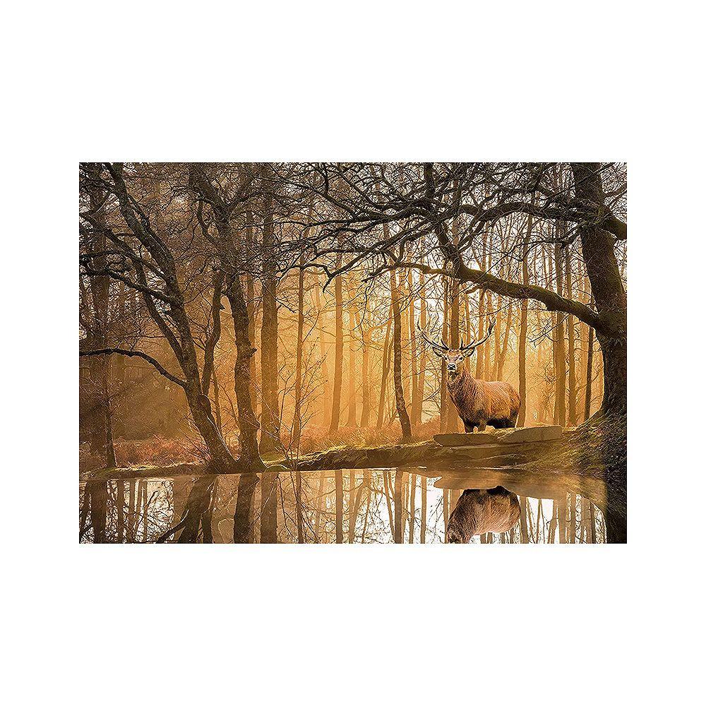 Clementoni  Puzzle The Forest (500Teile) 