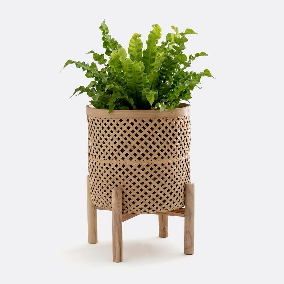 La Redoute Intérieurs Übertopf Bambu mit Fuss  