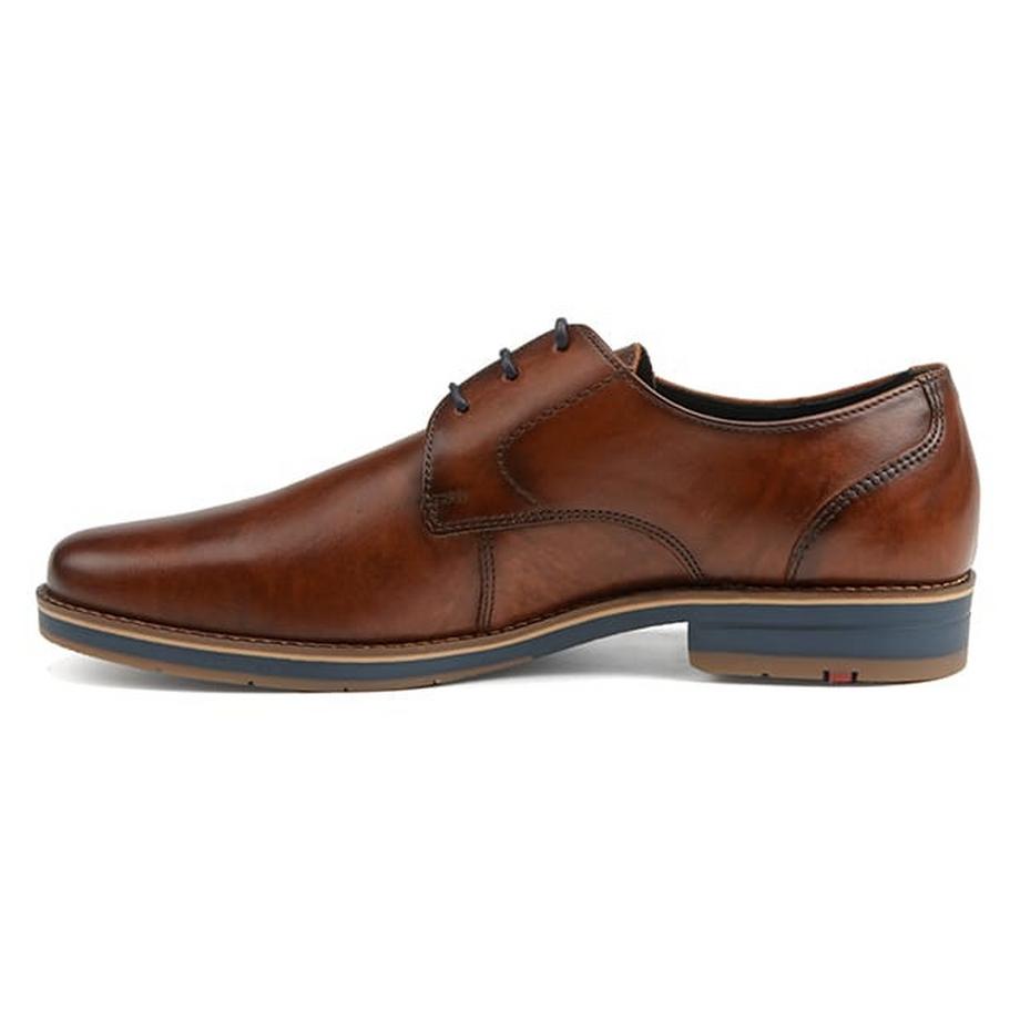 Lloyd Langstone Derby Scarpe  