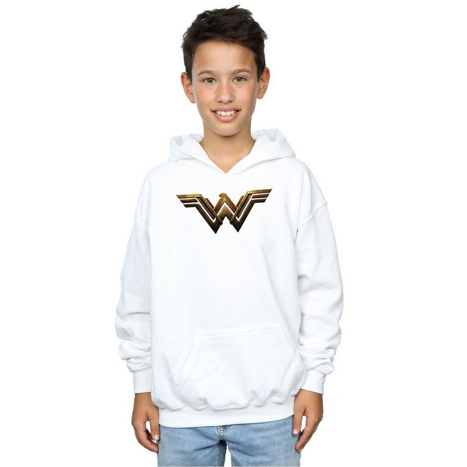 DC COMICS  Justice League Kapuzenpullover 