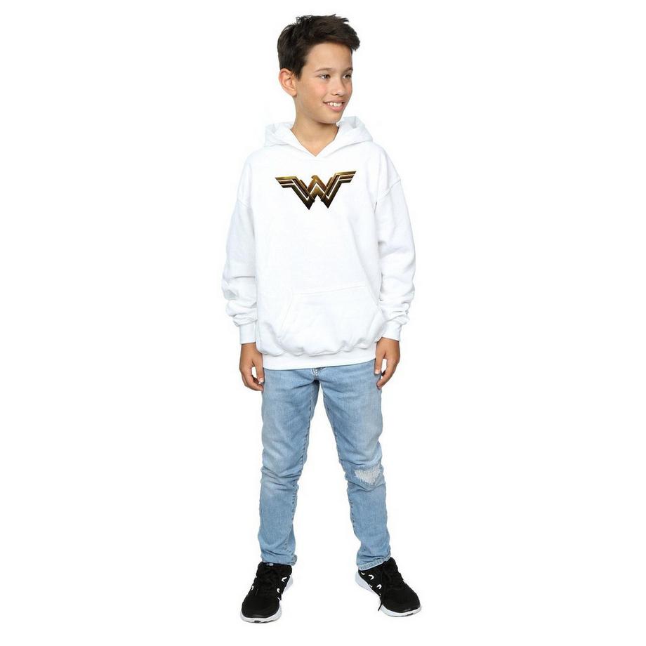 DC COMICS  Justice League Kapuzenpullover 