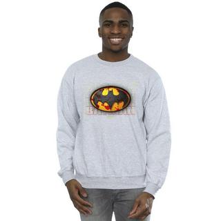 DC COMICS  Sweatshirt 