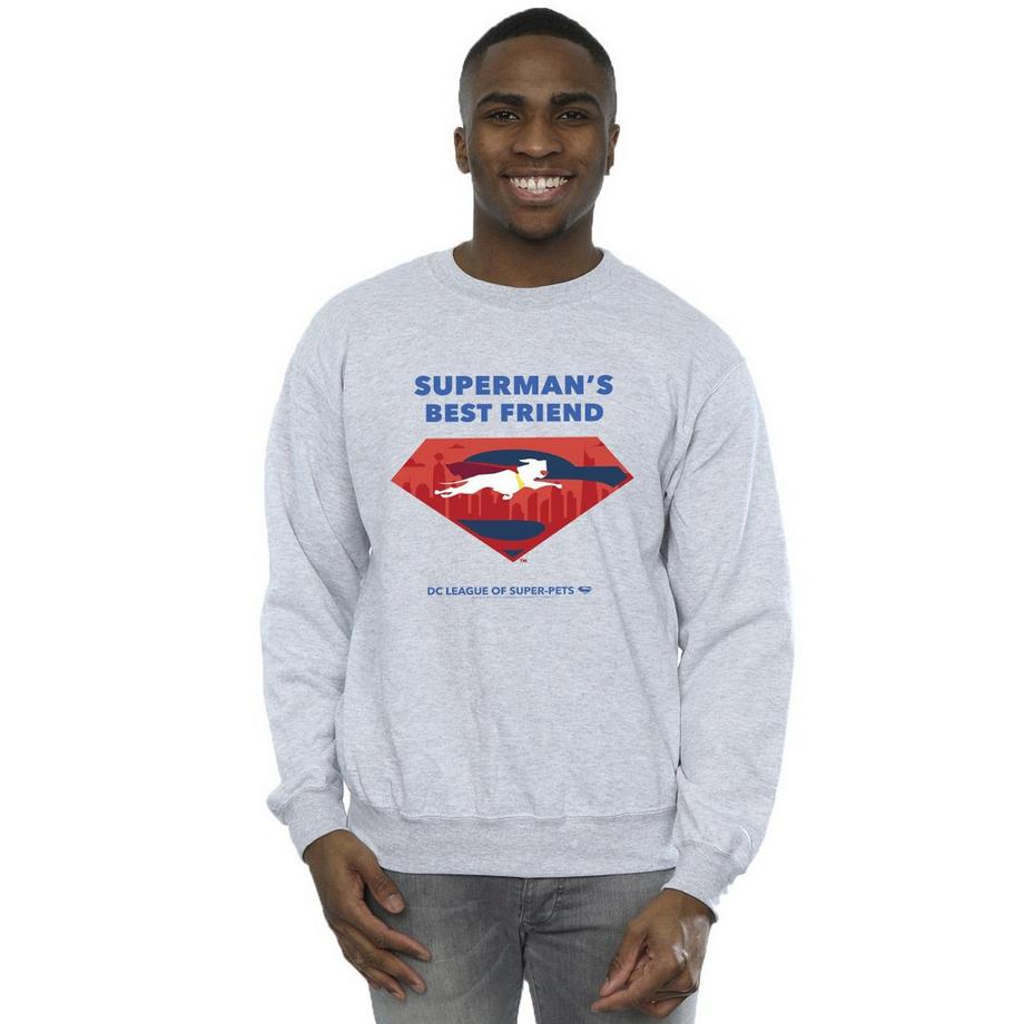 DC COMICS DC League Of SuperPets Best Friend Sweatshirt  