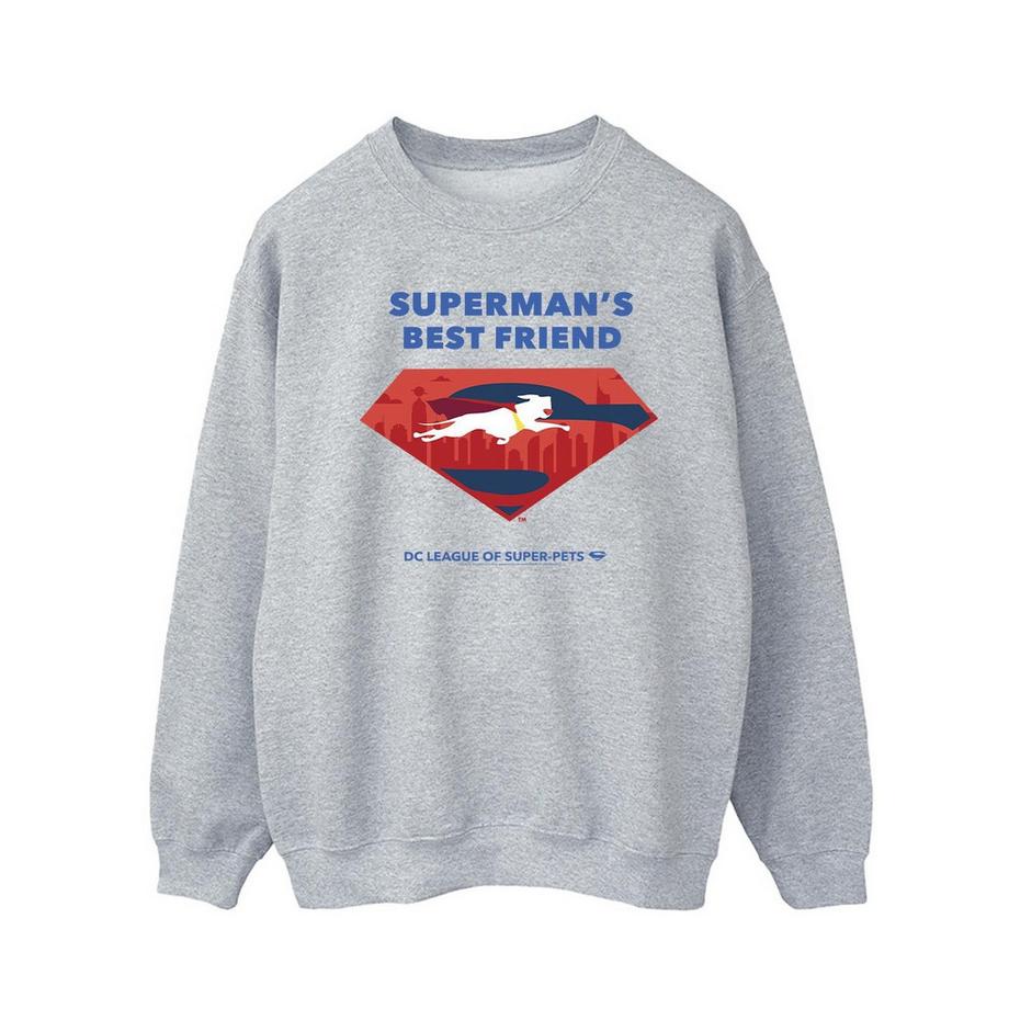 DCs DC League Of SuperPets Best Friend Sweatshirt