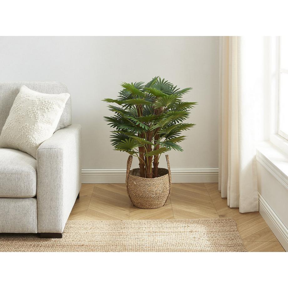 Vente-unique Pianta artificiale  RHAPIS  