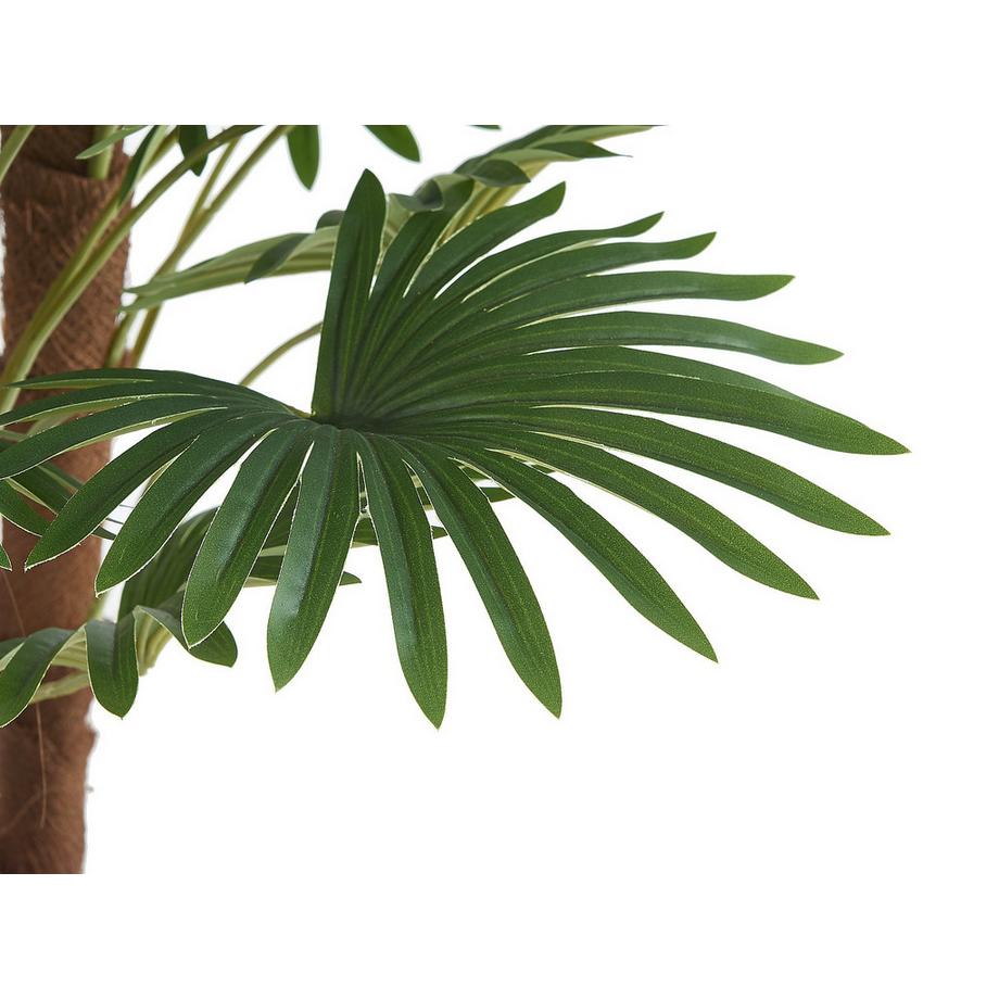 Vente-unique Pianta artificiale  RHAPIS  