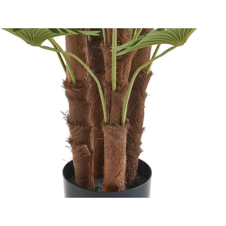 Vente-unique Pianta artificiale  RHAPIS  