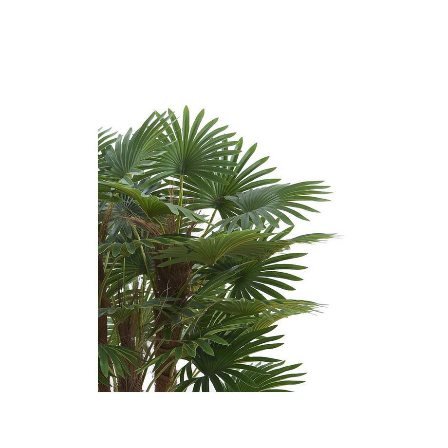 Vente-unique Pianta artificiale  RHAPIS  