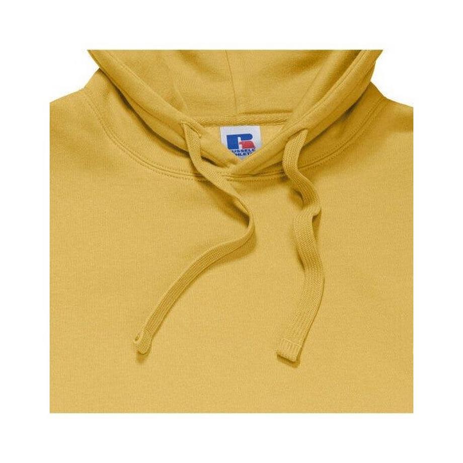 Russell Sweat À Capuche Authentic  