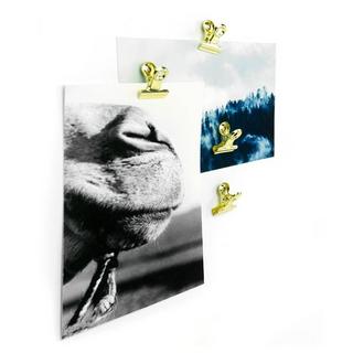 trendform Magnetclip MINI-GRAFFA 4er Set messing  