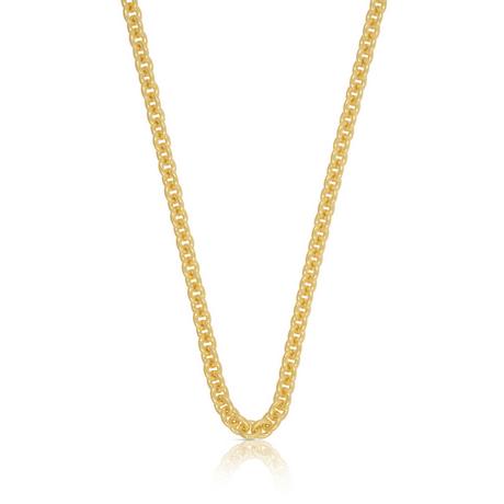 MUAU Schmuck  Collier Rundanker Gelbgold 750, 3.1mm, 45cm 