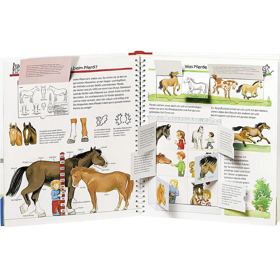 Wieso? Weshalb? Warum?, Band 21: Alles über Pferde und Ponys Erne, Andrea; Eberhard, Irmgard (Illustrationen) Gebundene Ausgabe 