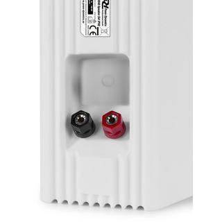 Power Dynamics  BGO40W haut-parleur 2-voies Blanc Avec fil 10 W 