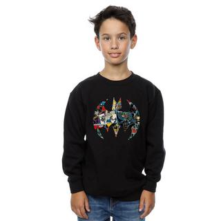 DC COMICS  Sweatshirt 