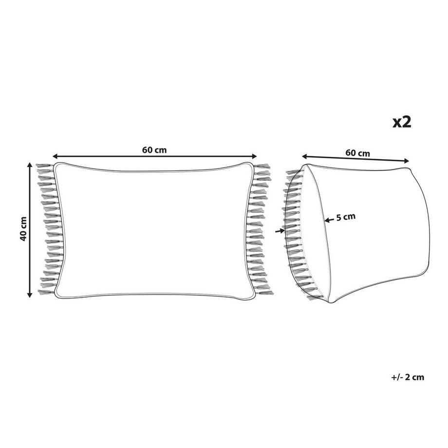 Beliani Lot de 2 coussins décoratifs en Coton Moderne TANSY  