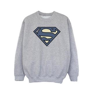 DC COMICS  Sweatshirt 