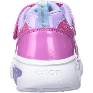 GEOX  Sneaker Assister 